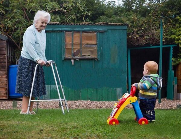 دایره زندگی